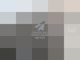 שולחן סלון