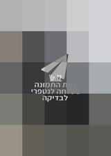 עגלת טיולון  miya