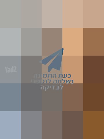 תמי 4