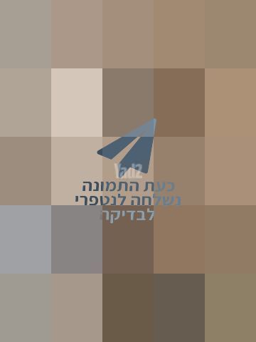קורקינט GoWheels Tiger 10