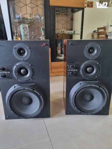 רמקולים Morel MLP - 309