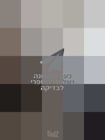 מיטת גלריה