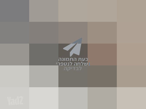 אופנים חשמליות