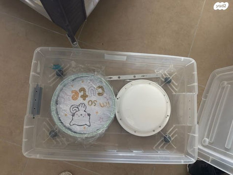 מנורות תקרה