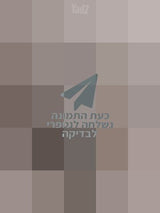 עגלת תינוק
