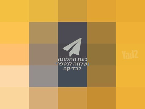 אקסבוקס