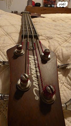 Washburn Taurus T24