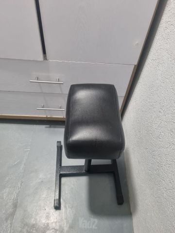 רגלית