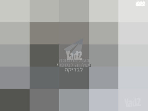 נינגה גריל