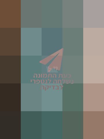 גרניק