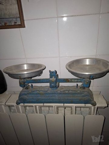 מוזנים
