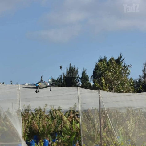 טיסן p-39 של eflite