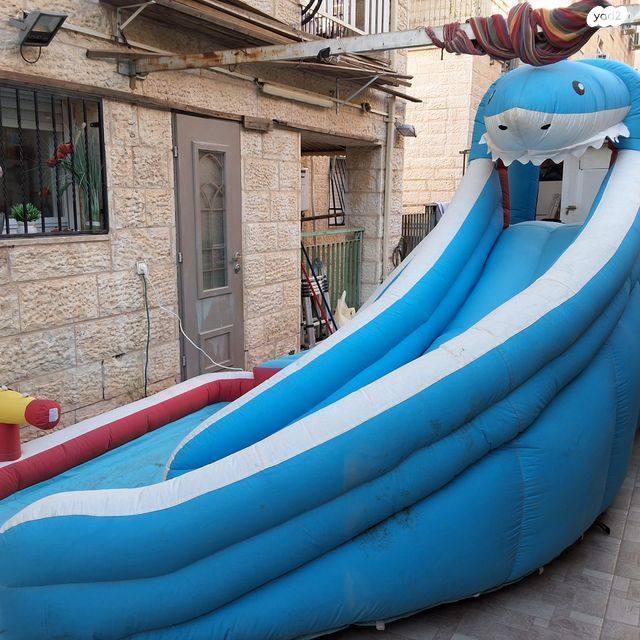 מתנפח כריש