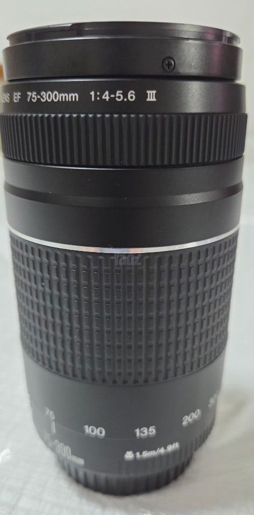 עדשה CANON