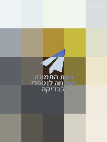 עגלת בוגבו B6