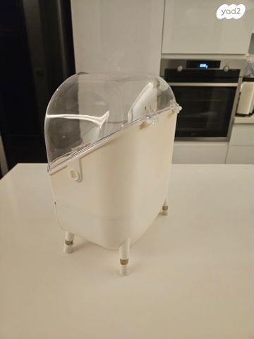 ארגונית אכסון