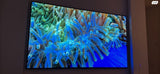 טלויזיה LG OLED 77 GX כחדשה
