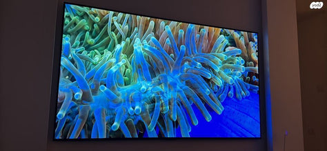 טלויזיה LG OLED 77 GX כחדשה