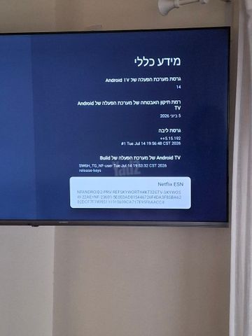 טלוויזיה skyworth