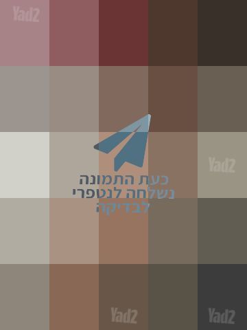 עניבה