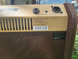 מגבר Fishman Loudbox