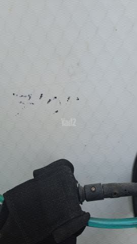 גלשן סופט 7