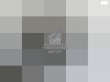 נינגה גריל