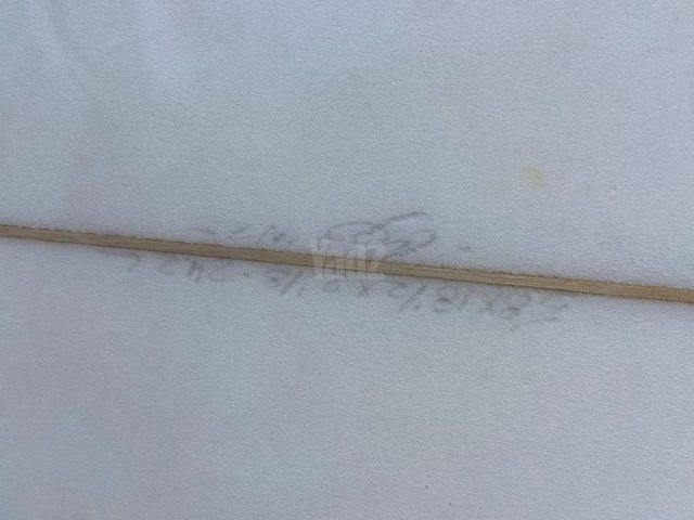 גלשן גלים שורט