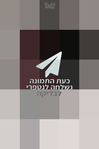 תיק מותג  DKNY