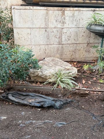 סלעים
