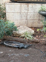 סלעים