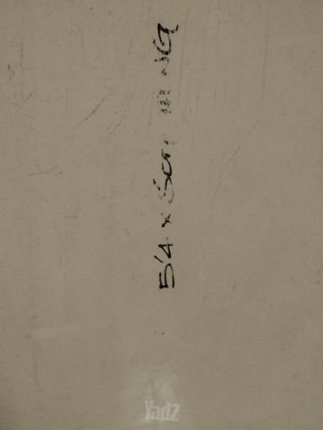 גלשן גלים סופט 5.4
