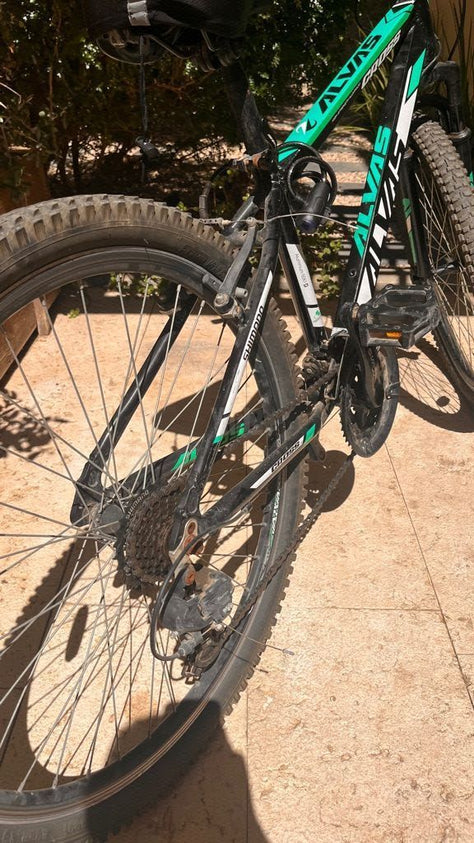 אופני שטח Alvas