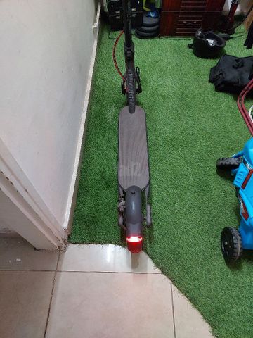 קורקינט