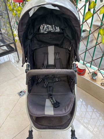עגלה TayTay