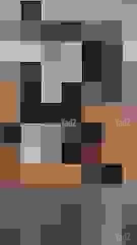 פאה טופ לייס