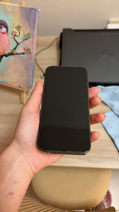 Iphone 13 pro