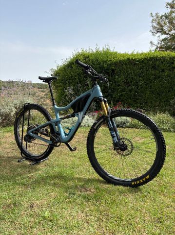 Ibis Ripley V4