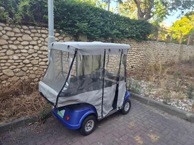קולנועית