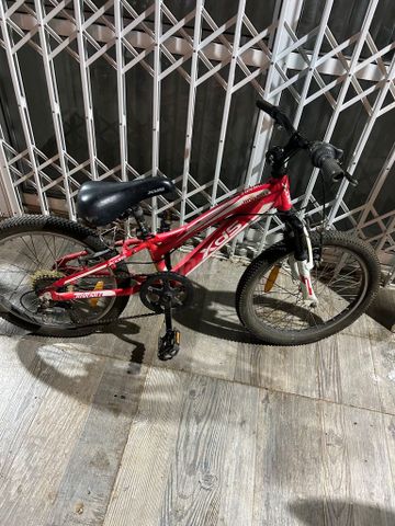 אופנים xds