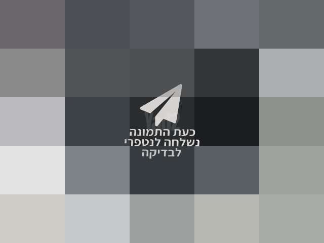 עגלת תאומים