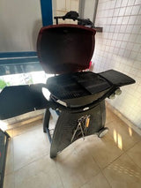 מנגל weber על גז