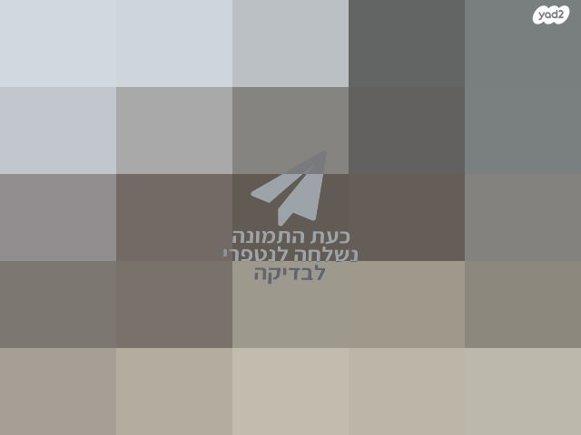 סלון
