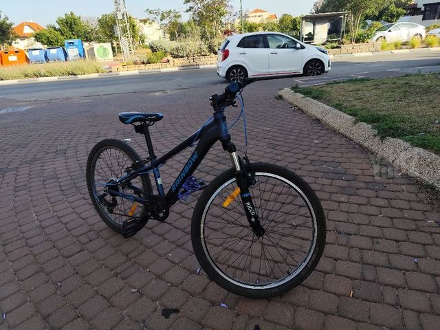 אופני הרים