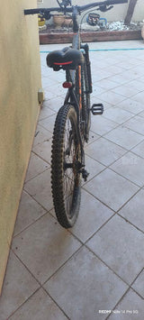 דולב 4