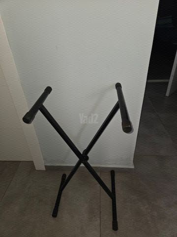 מעמד לאורגנית