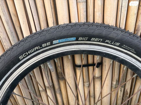 Schwalbe