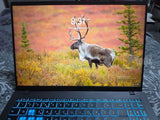 ASUS V16 144 HZ RTX5060