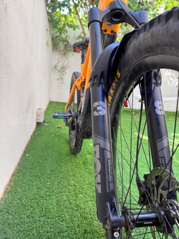 Orbea Wild