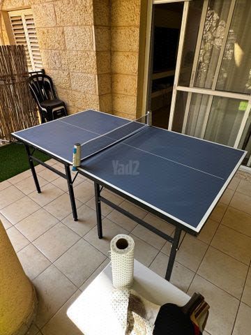 שולחן טניס
